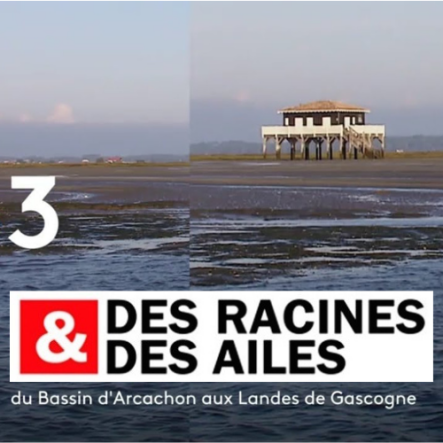 Des Racines et Des Ailes Bassin d‘Arcachon DAGprod Music